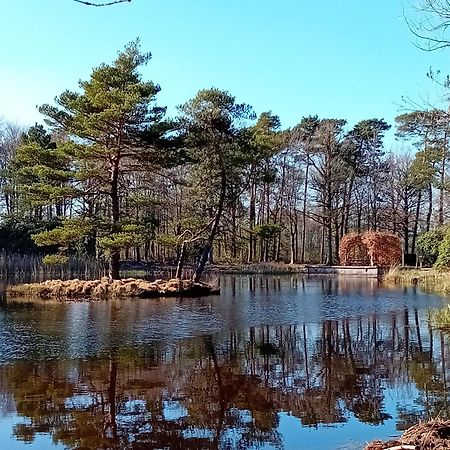 B&B Stripsein Wijnjewoude Zewnętrze zdjęcie