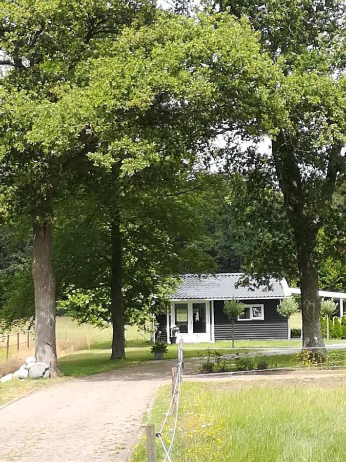 B&B Stripsein Wijnjewoude Zewnętrze zdjęcie